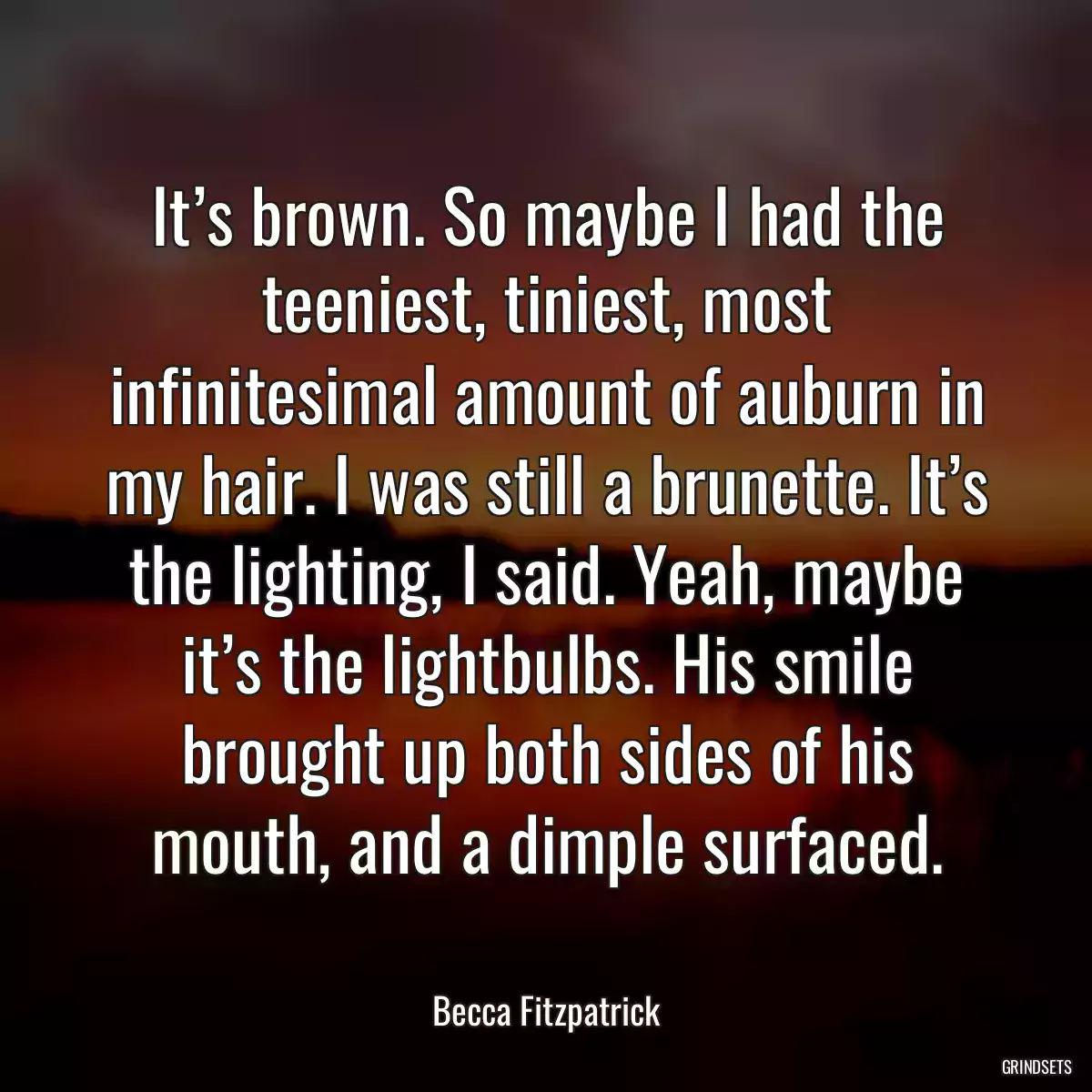 It’s brown. So maybe I had the teeniest, tiniest, most infinitesimal amount of auburn in my hair. I was still a brunette. It’s the lighting, I said. Yeah, maybe it’s the lightbulbs. His smile brought up both sides of his mouth, and a dimple surfaced.