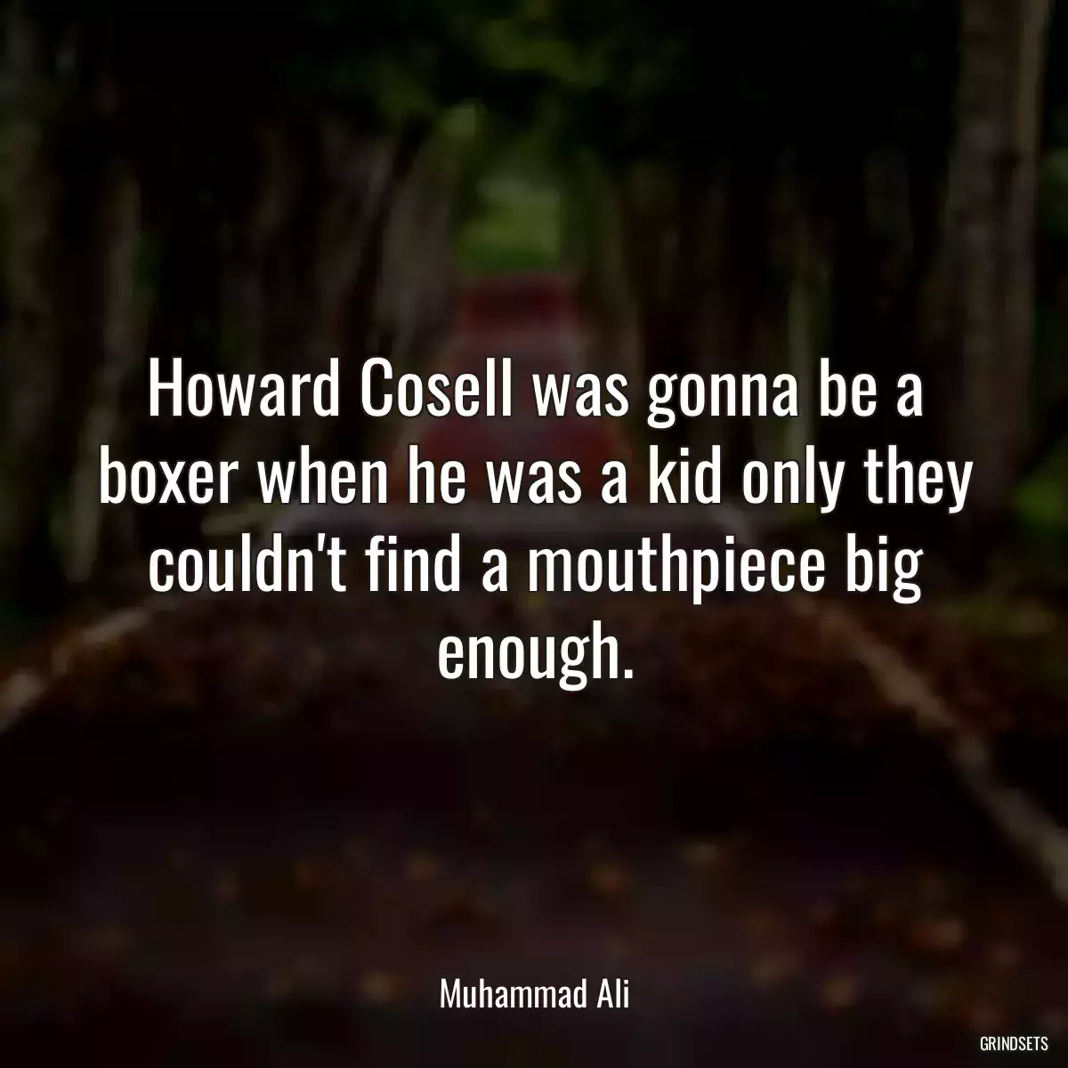 Howard Cosell was gonna be a boxer when he was a kid only they couldn\'t find a mouthpiece big enough.