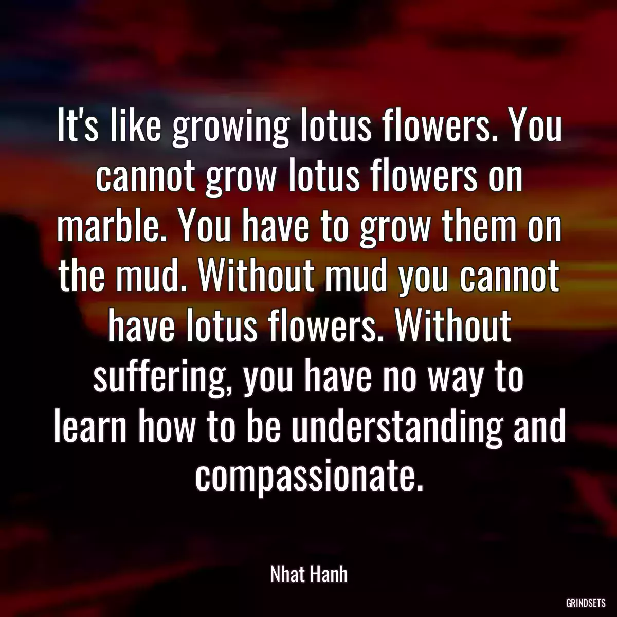 It\'s like growing lotus flowers. You cannot grow lotus flowers on marble. You have to grow them on the mud. Without mud you cannot have lotus flowers. Without suffering, you have no way to learn how to be understanding and compassionate.