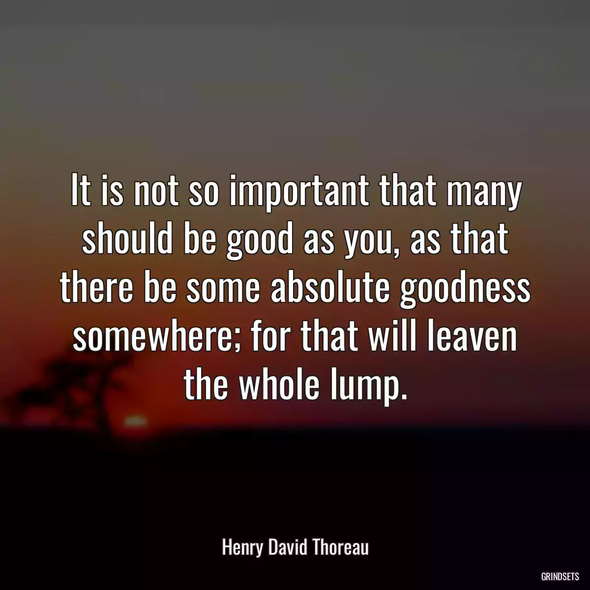 It is not so important that many should be good as you, as that there be some absolute goodness somewhere; for that will leaven the whole lump.