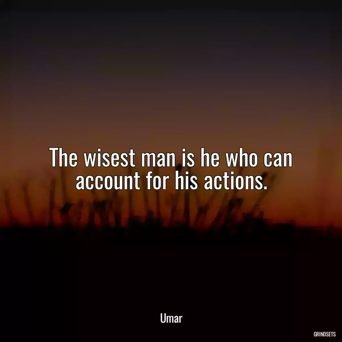 The wisest man is he who can account for his actions.