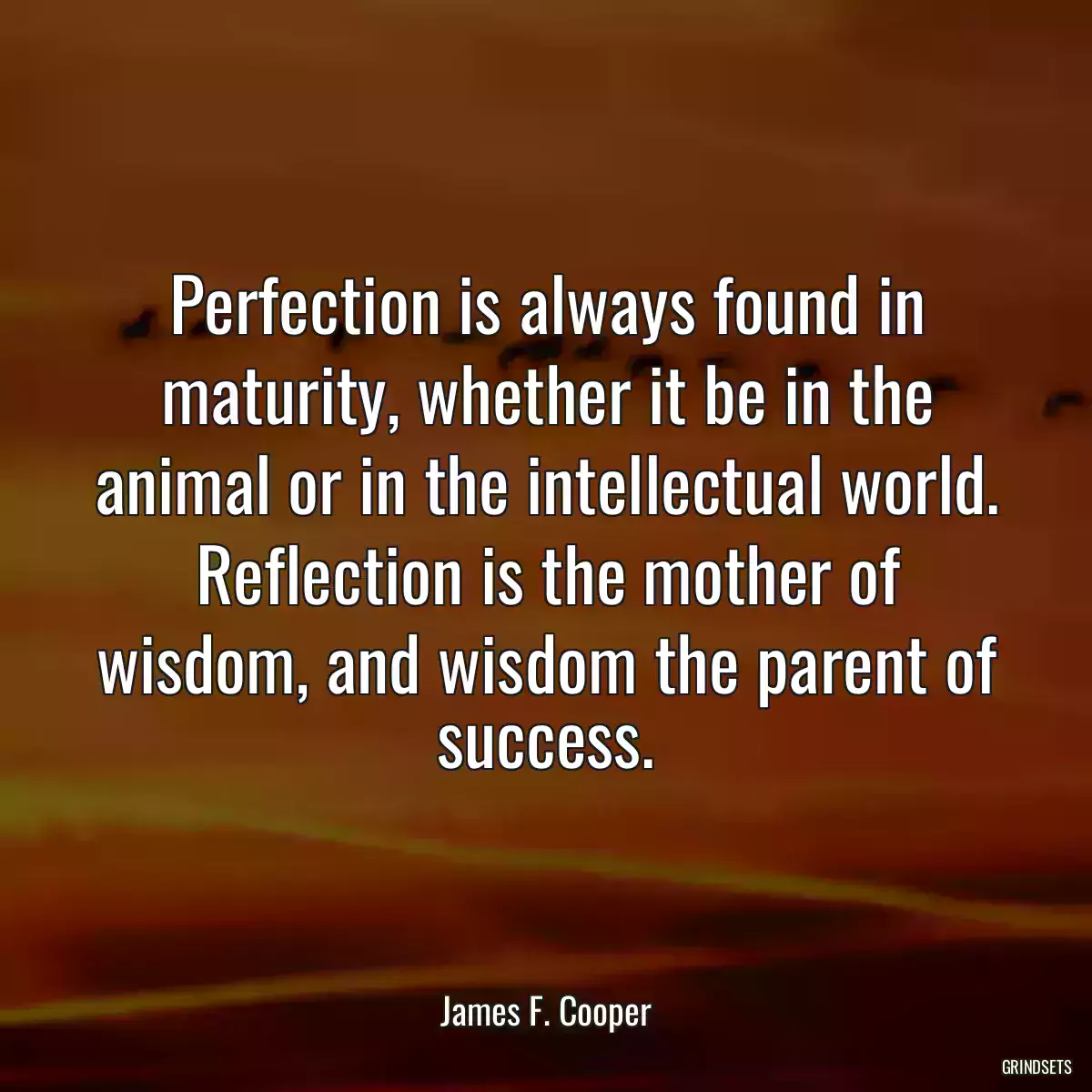 Perfection is always found in maturity, whether it be in the animal or in the intellectual world. Reflection is the mother of wisdom, and wisdom the parent of success.