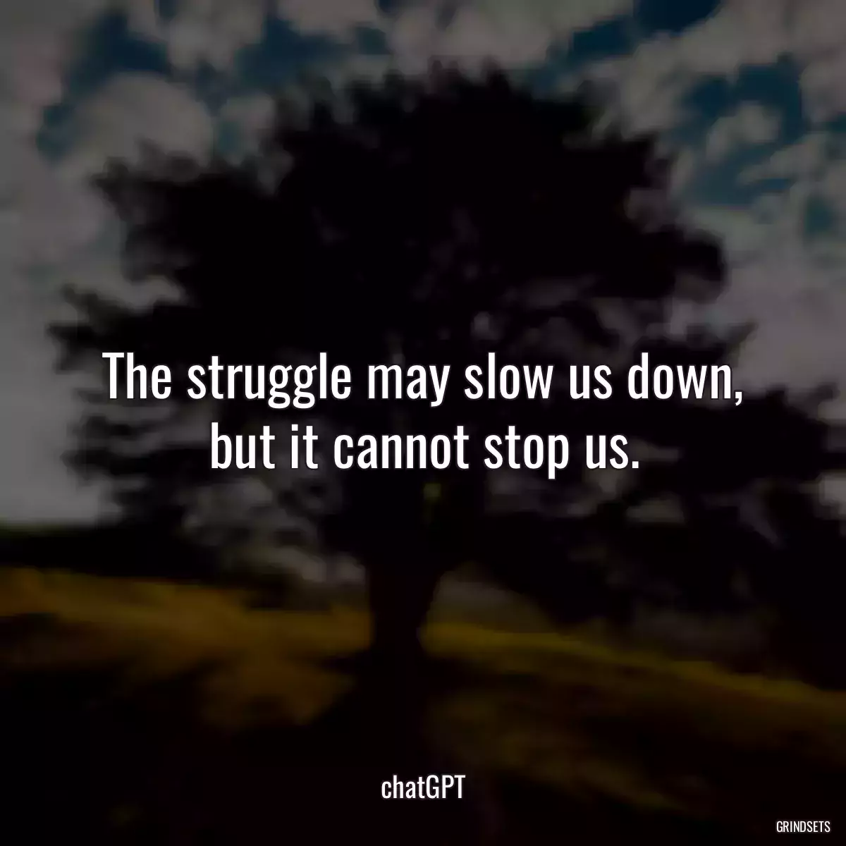 The struggle may slow us down, but it cannot stop us.