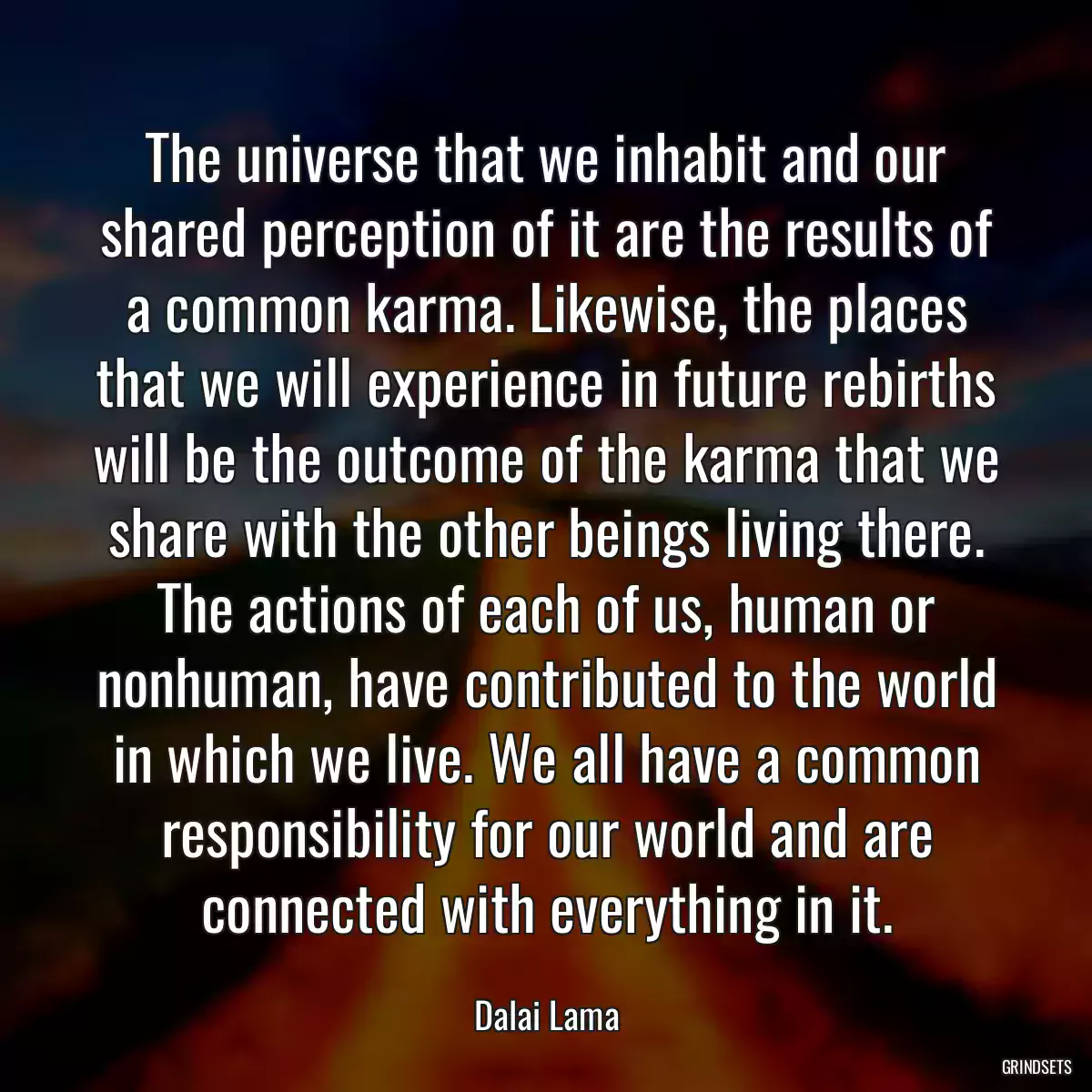 The universe that we inhabit and our shared perception of it are the results of a common karma. Likewise, the places that we will experience in future rebirths will be the outcome of the karma that we share with the other beings living there. The actions of each of us, human or nonhuman, have contributed to the world in which we live. We all have a common responsibility for our world and are connected with everything in it.