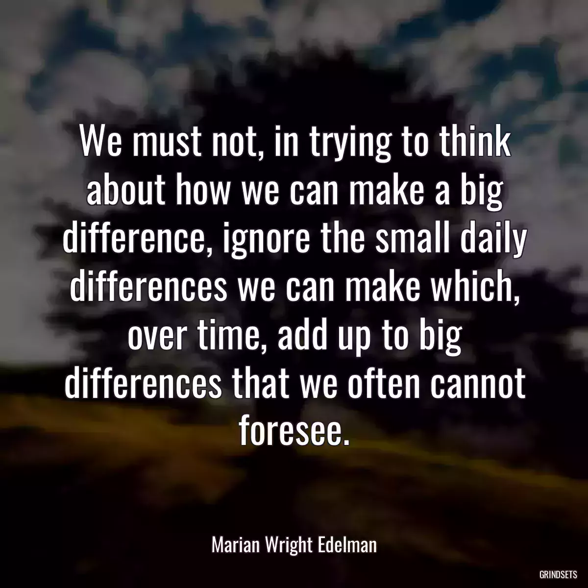 We must not, in trying to think about how we can make a big difference, ignore the small daily differences we can make which, over time, add up to big differences that we often cannot foresee.