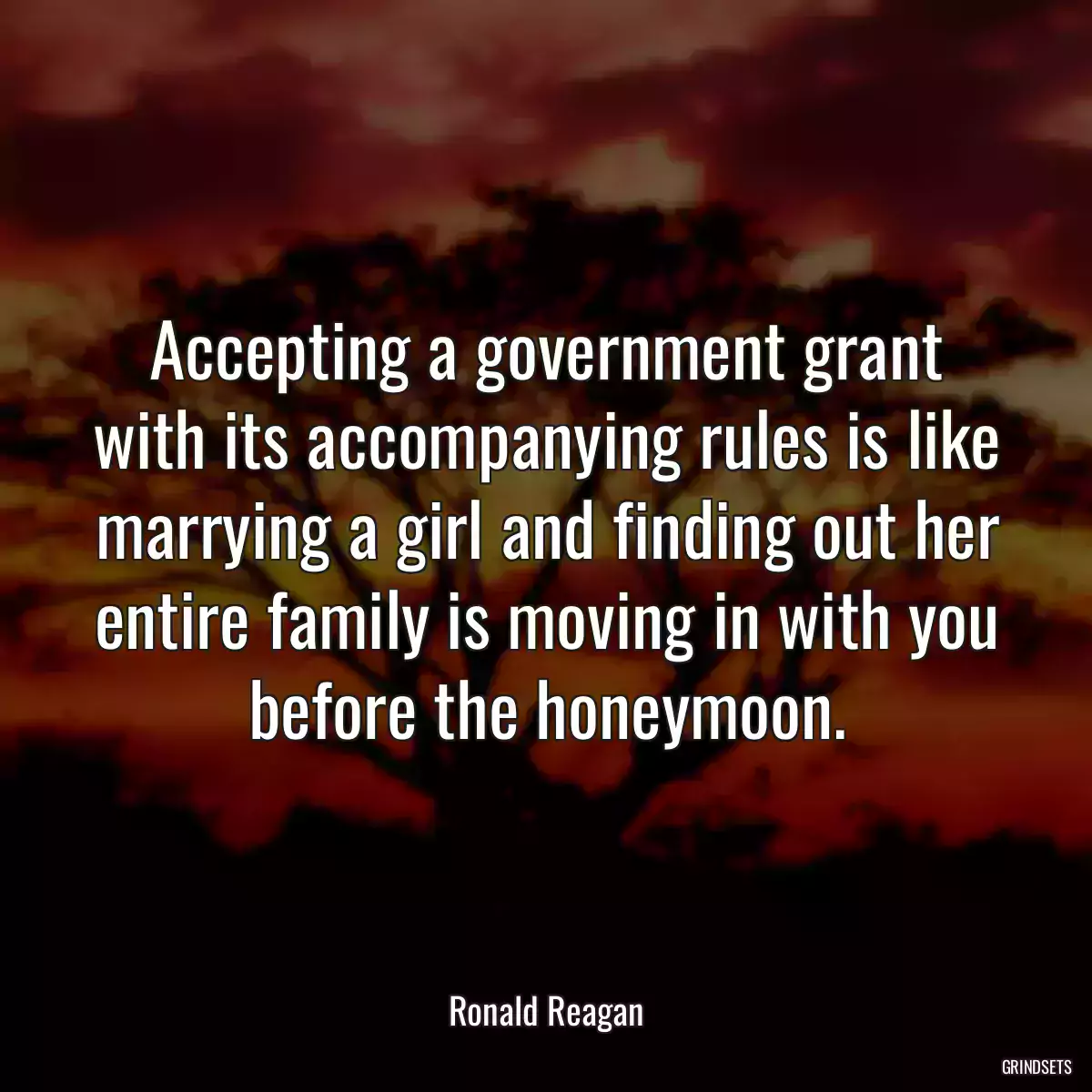 Accepting a government grant with its accompanying rules is like marrying a girl and finding out her entire family is moving in with you before the honeymoon.