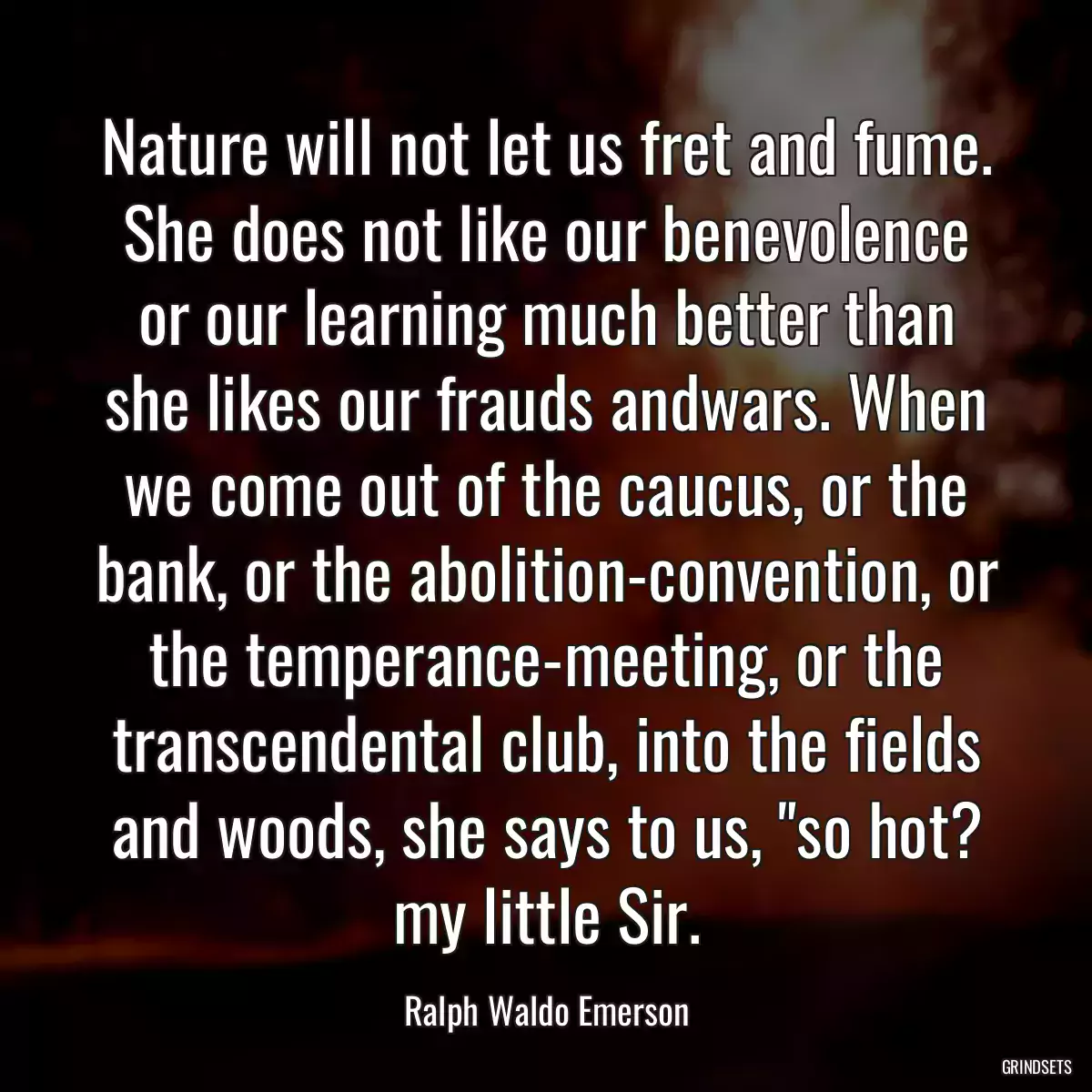 Nature will not let us fret and fume. She does not like our benevolence or our learning much better than she likes our frauds andwars. When we come out of the caucus, or the bank, or the abolition-convention, or the temperance-meeting, or the transcendental club, into the fields and woods, she says to us, \