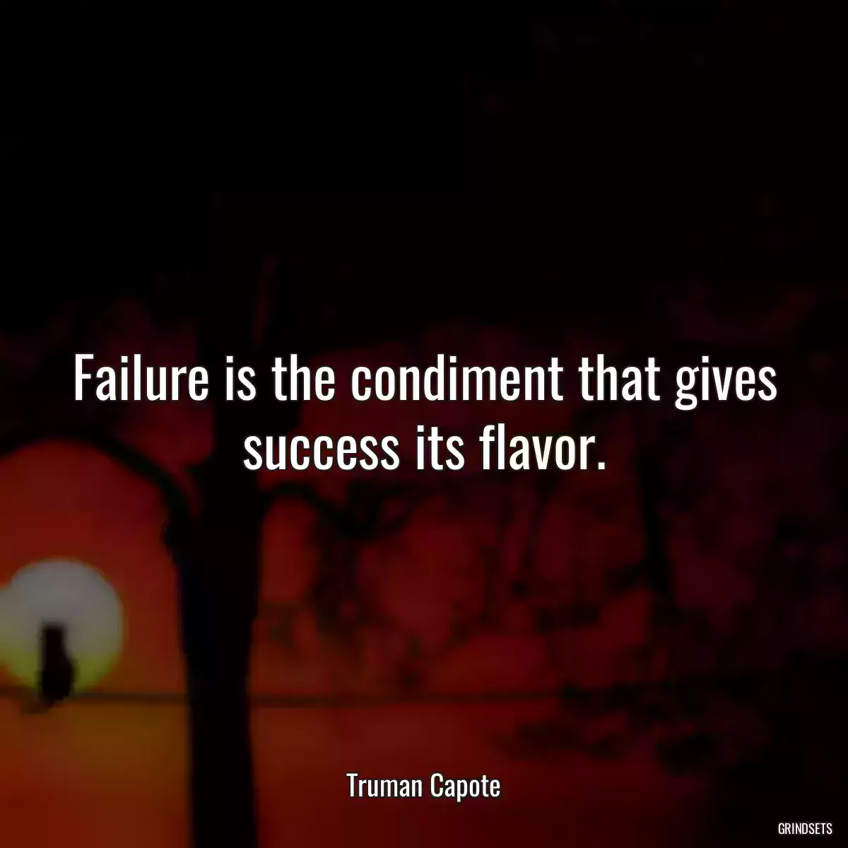 Failure is the condiment that gives success its flavor.