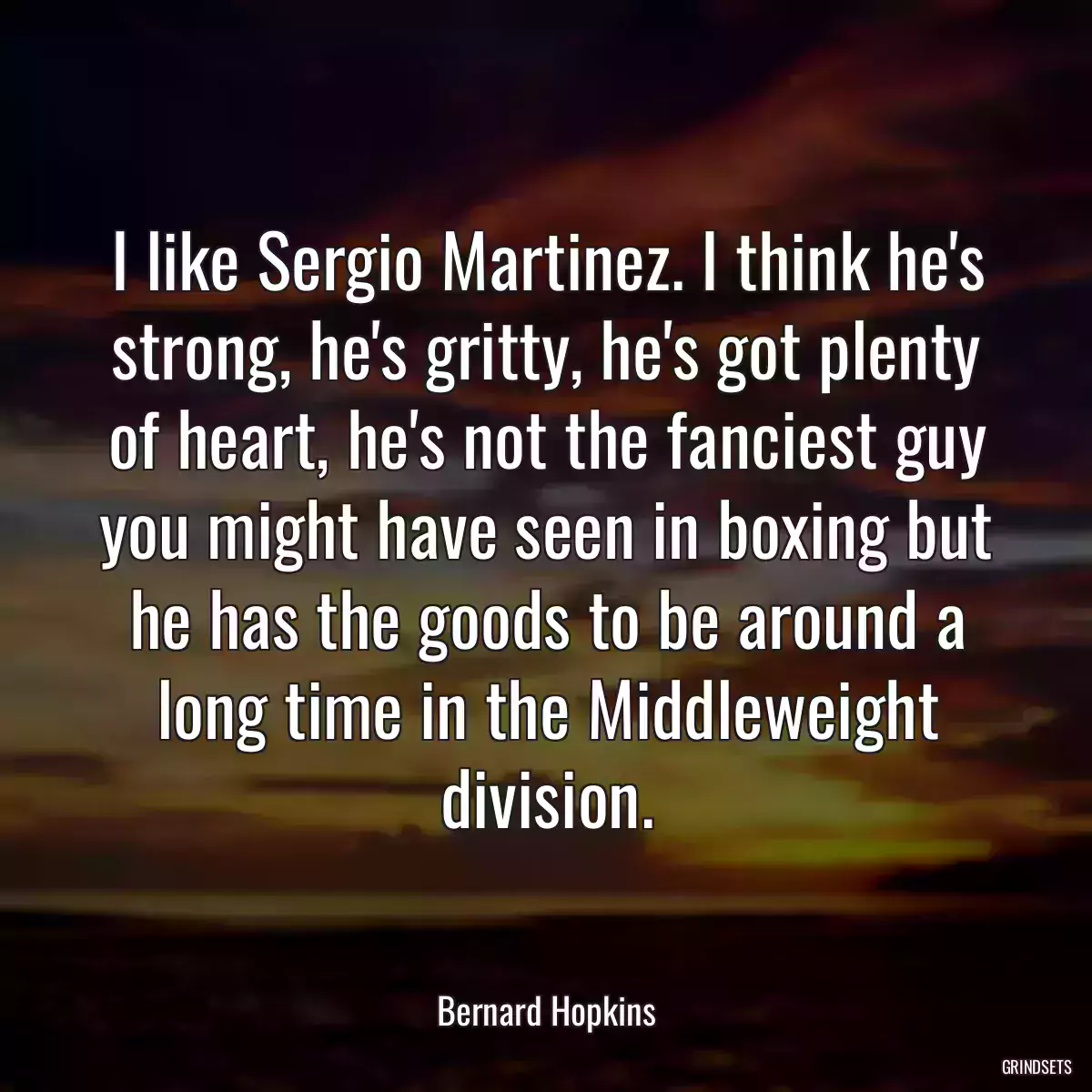 I like Sergio Martinez. I think he\'s strong, he\'s gritty, he\'s got plenty of heart, he\'s not the fanciest guy you might have seen in boxing but he has the goods to be around a long time in the Middleweight division.