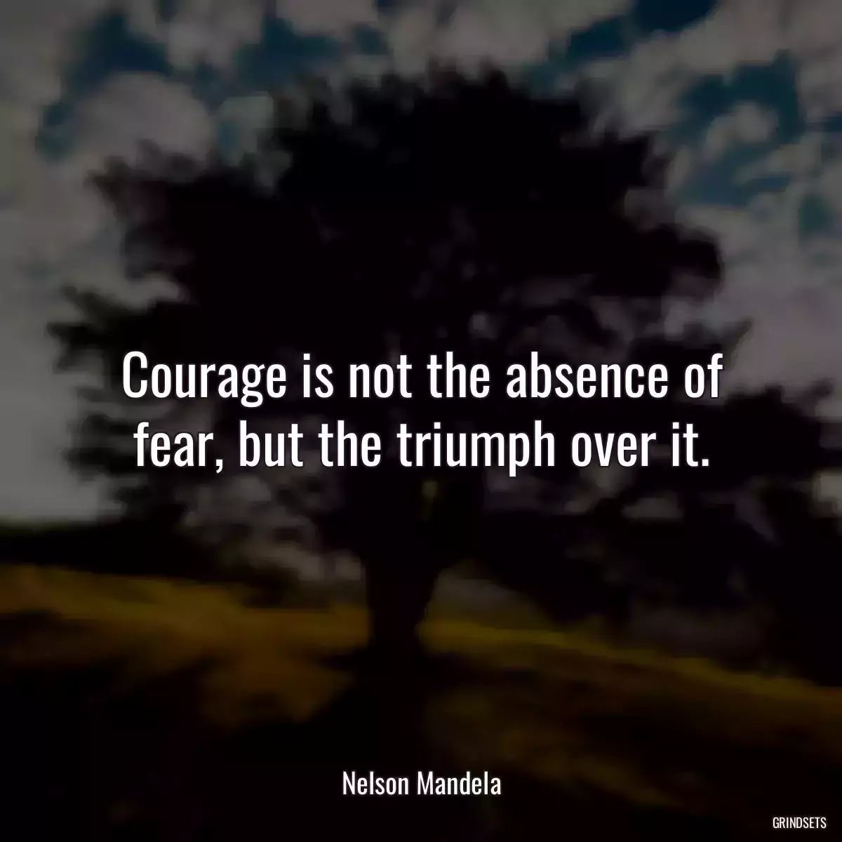 Courage is not the absence of fear, but the triumph over it.