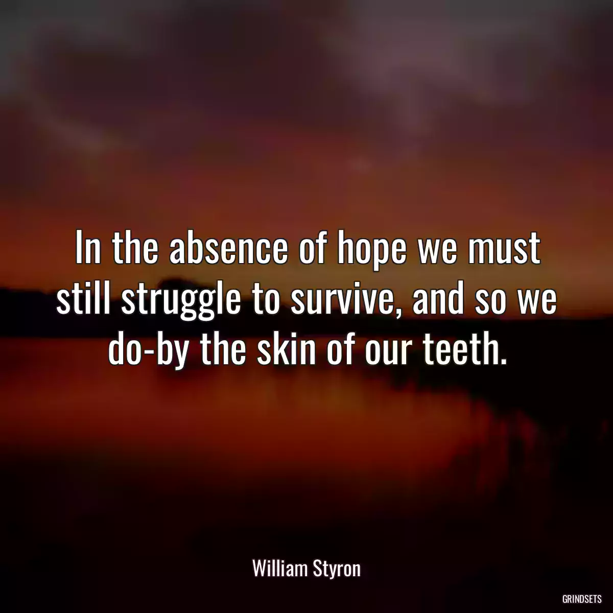 In the absence of hope we must still struggle to survive, and so we do-by the skin of our teeth.