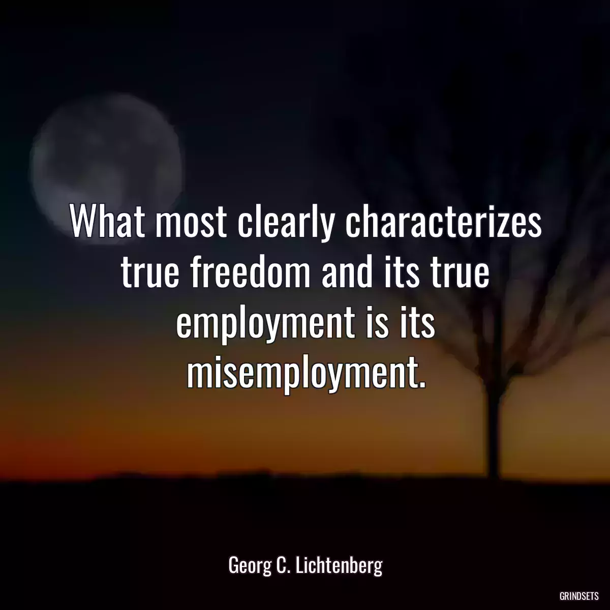 What most clearly characterizes true freedom and its true employment is its misemployment.