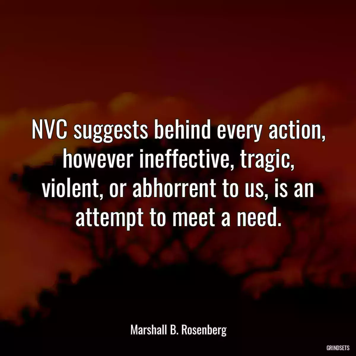 NVC suggests behind every action, however ineffective, tragic, violent, or abhorrent to us, is an attempt to meet a need.