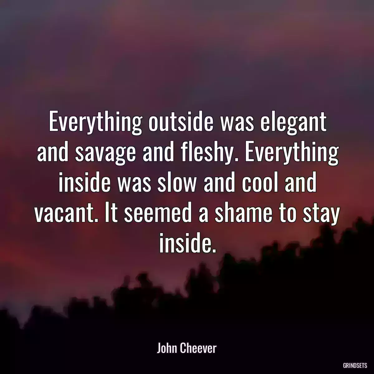 Everything outside was elegant and savage and fleshy. Everything inside was slow and cool and vacant. It seemed a shame to stay inside.