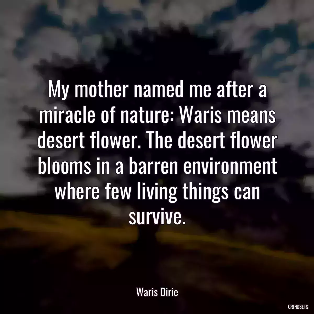 My mother named me after a miracle of nature: Waris means desert flower. The desert flower blooms in a barren environment where few living things can survive.