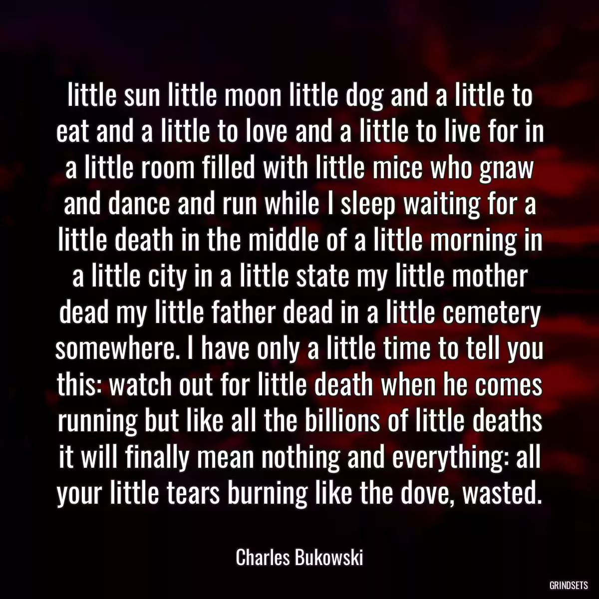 little sun little moon little dog and a little to eat and a little to love and a little to live for in a little room filled with little mice who gnaw and dance and run while I sleep waiting for a little death in the middle of a little morning in a little city in a little state my little mother dead my little father dead in a little cemetery somewhere. I have only a little time to tell you this: watch out for little death when he comes running but like all the billions of little deaths it will finally mean nothing and everything: all your little tears burning like the dove, wasted.
