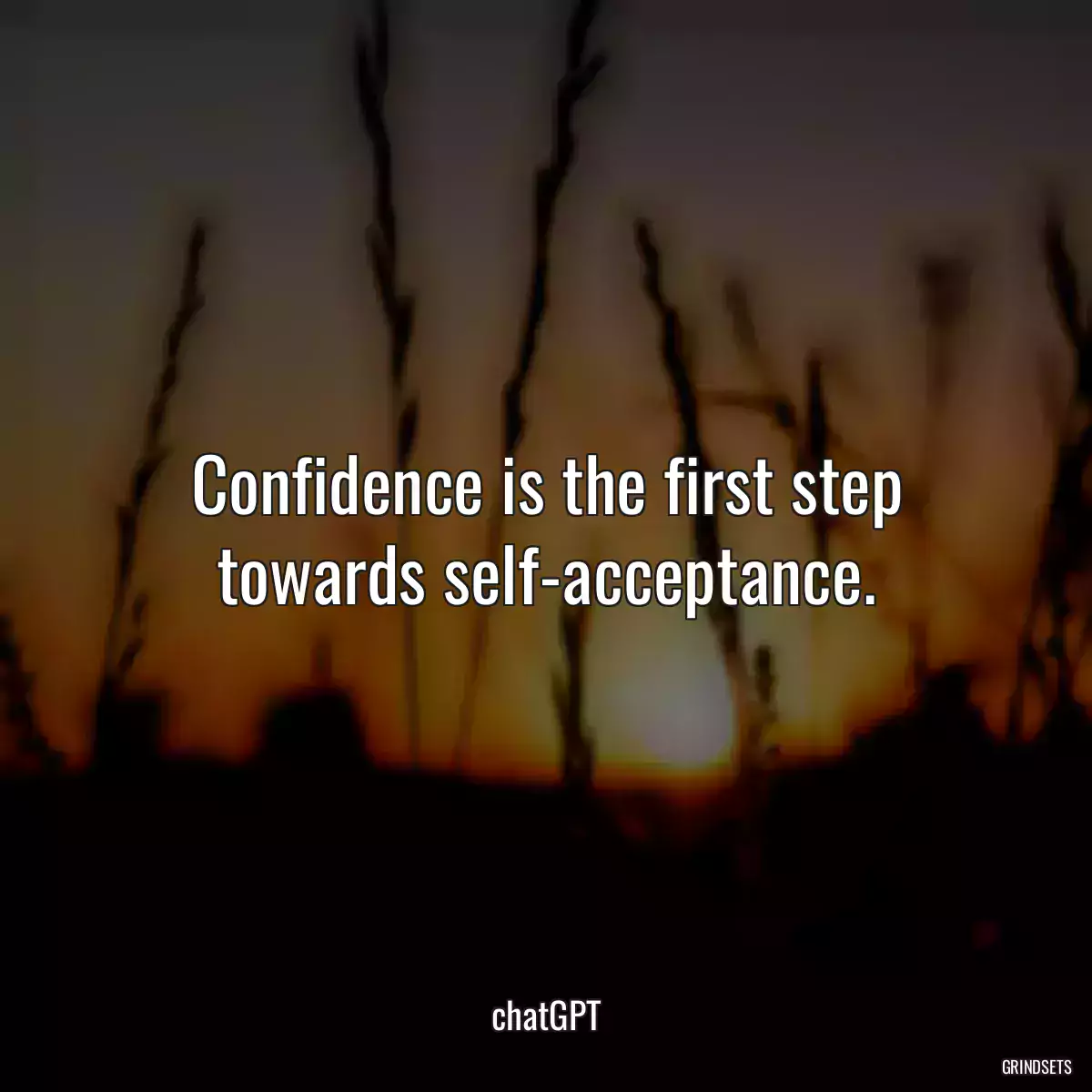 Confidence is the first step towards self-acceptance.