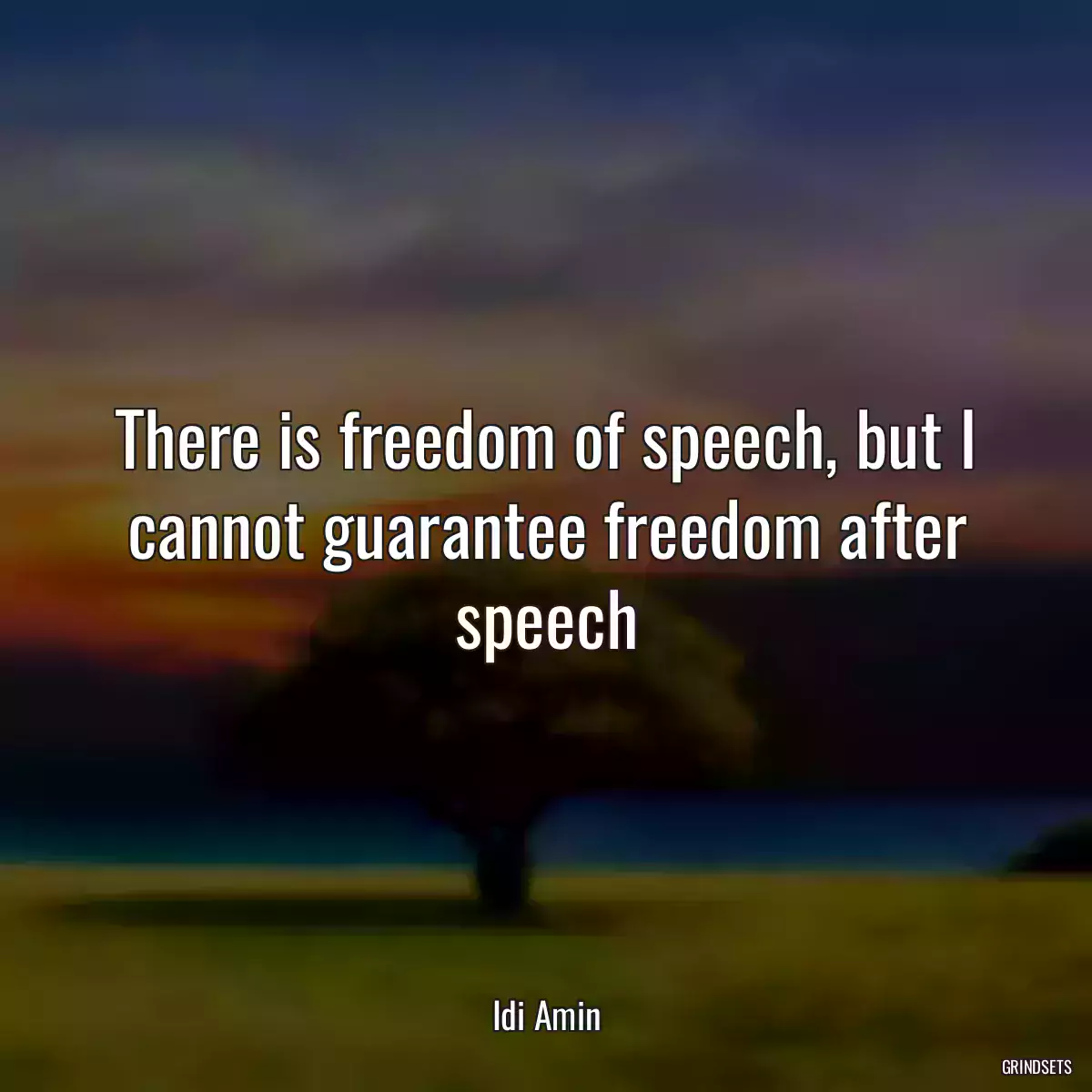 There is freedom of speech, but I cannot guarantee freedom after speech