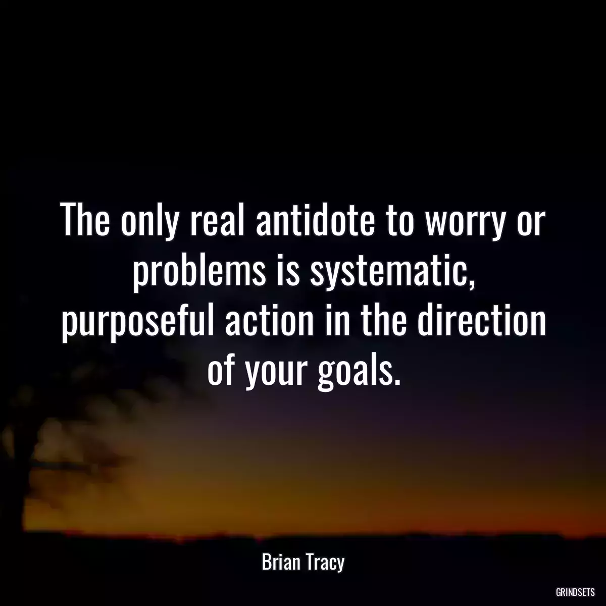 The only real antidote to worry or problems is systematic, purposeful action in the direction of your goals.