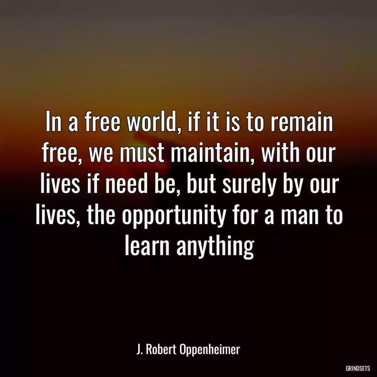 In a free world, if it is to remain free, we must maintain, with our lives if need be, but surely by our lives, the opportunity for a man to learn anything