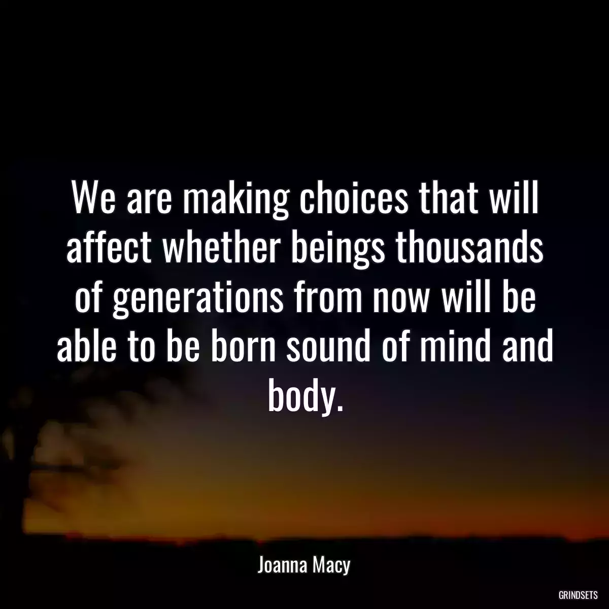 We are making choices that will affect whether beings thousands of generations from now will be able to be born sound of mind and body.