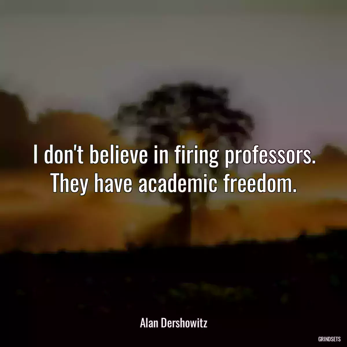 I don\'t believe in firing professors. They have academic freedom.