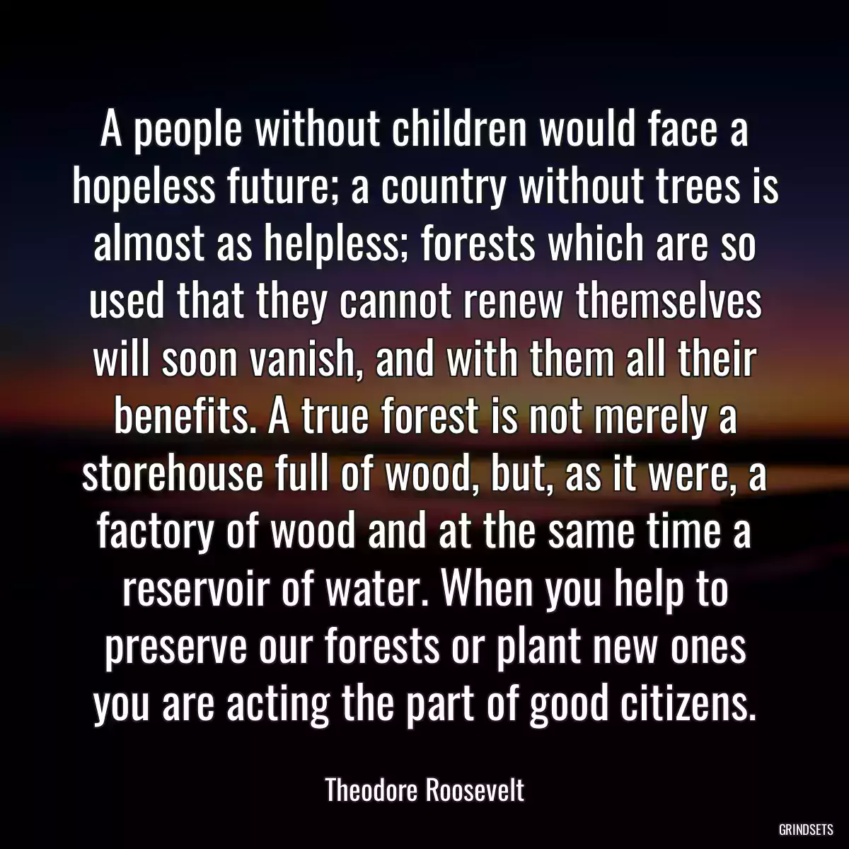 A people without children would face a hopeless future; a country without trees is almost as helpless; forests which are so used that they cannot renew themselves will soon vanish, and with them all their benefits. A true forest is not merely a storehouse full of wood, but, as it were, a factory of wood and at the same time a reservoir of water. When you help to preserve our forests or plant new ones you are acting the part of good citizens.