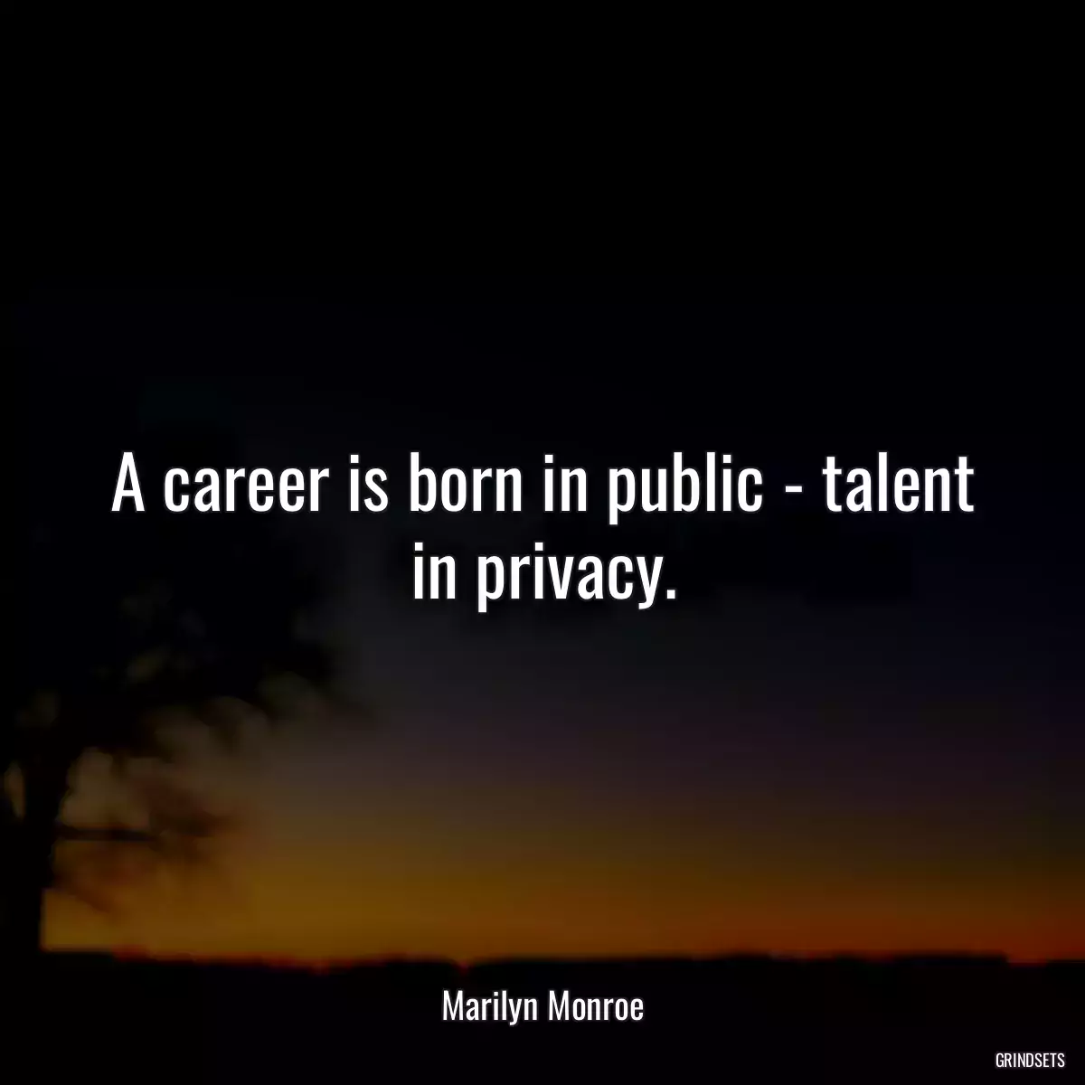 A career is born in public - talent in privacy.