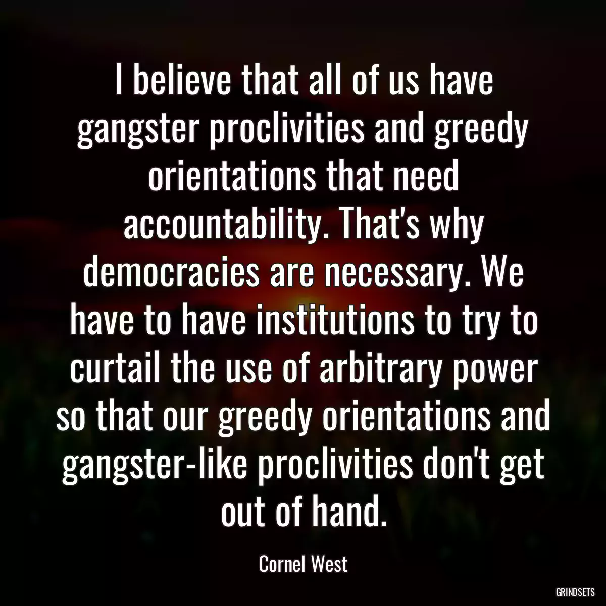 I believe that all of us have gangster proclivities and greedy orientations that need accountability. That\'s why democracies are necessary. We have to have institutions to try to curtail the use of arbitrary power so that our greedy orientations and gangster-like proclivities don\'t get out of hand.