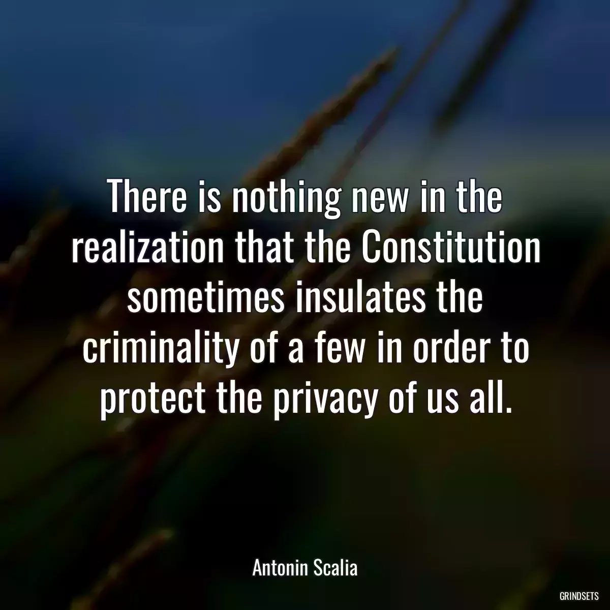 There is nothing new in the realization that the Constitution sometimes insulates the criminality of a few in order to protect the privacy of us all.