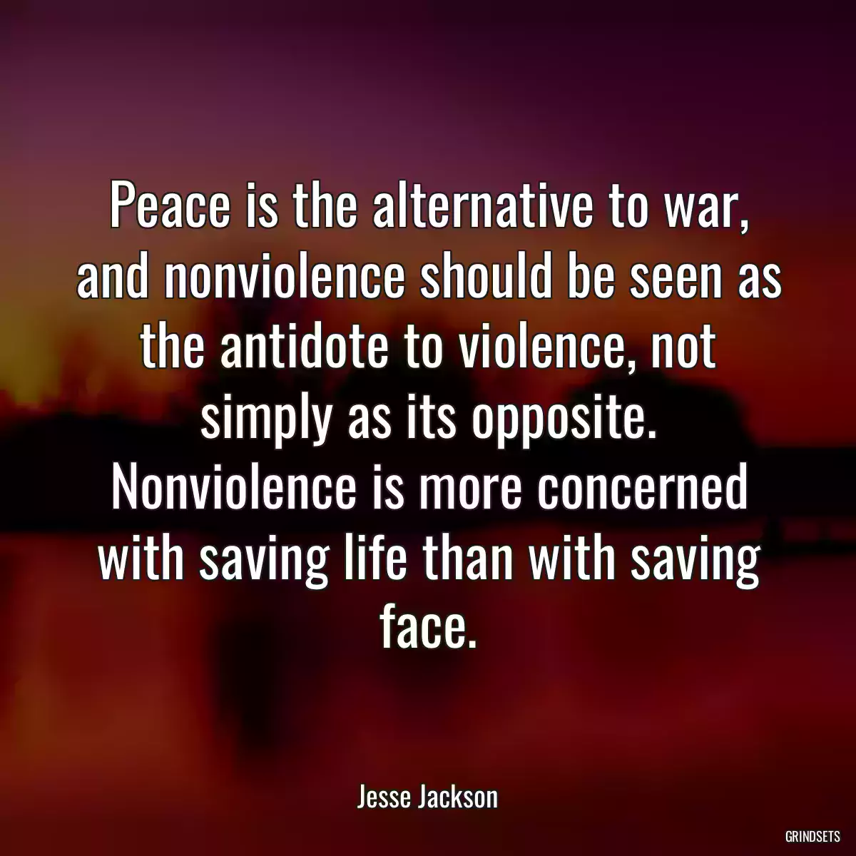 Peace is the alternative to war, and nonviolence should be seen as the antidote to violence, not simply as its opposite. Nonviolence is more concerned with saving life than with saving face.