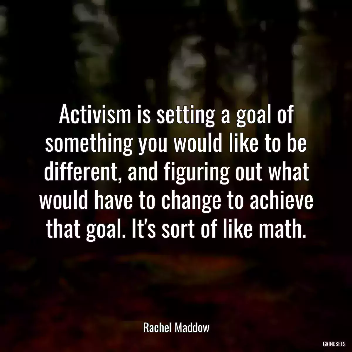 Activism is setting a goal of something you would like to be different, and figuring out what would have to change to achieve that goal. It\'s sort of like math.