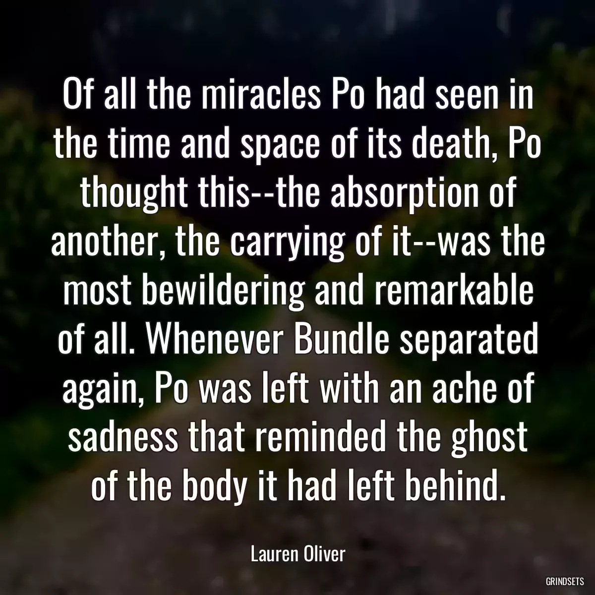 Of all the miracles Po had seen in the time and space of its death, Po thought this--the absorption of another, the carrying of it--was the most bewildering and remarkable of all. Whenever Bundle separated again, Po was left with an ache of sadness that reminded the ghost of the body it had left behind.