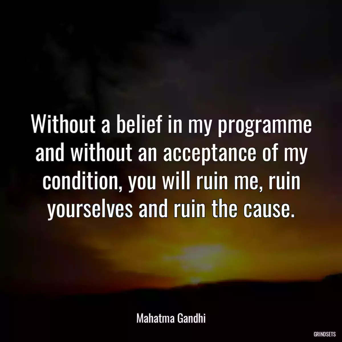 Without a belief in my programme and without an acceptance of my condition, you will ruin me, ruin yourselves and ruin the cause.