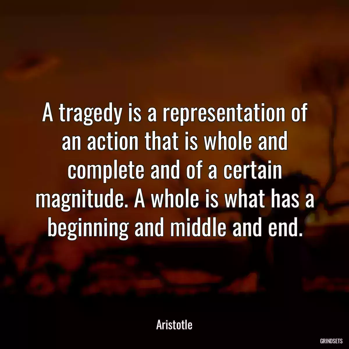 A tragedy is a representation of an action that is whole and complete and of a certain magnitude. A whole is what has a beginning and middle and end.