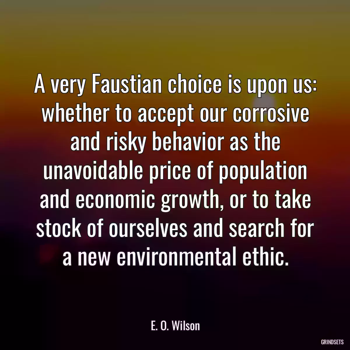 A very Faustian choice is upon us: whether to accept our corrosive and risky behavior as the unavoidable price of population and economic growth, or to take stock of ourselves and search for a new environmental ethic.