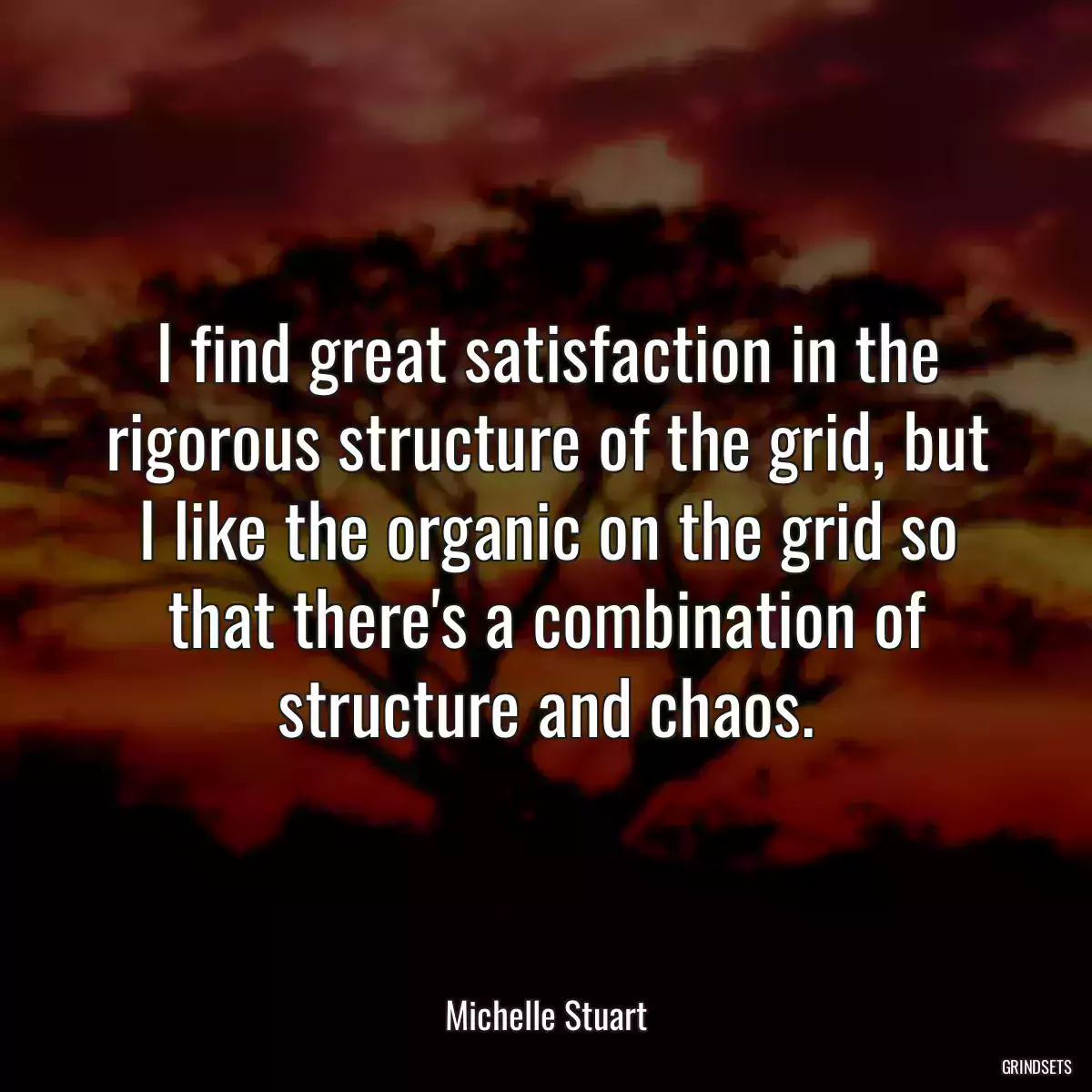 I find great satisfaction in the rigorous structure of the grid, but I like the organic on the grid so that there\'s a combination of structure and chaos.