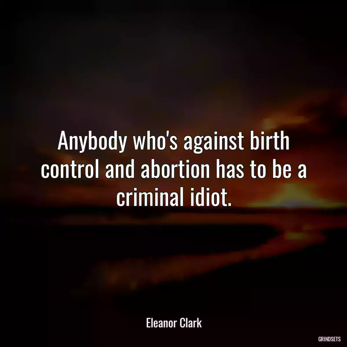 Anybody who\'s against birth control and abortion has to be a criminal idiot.