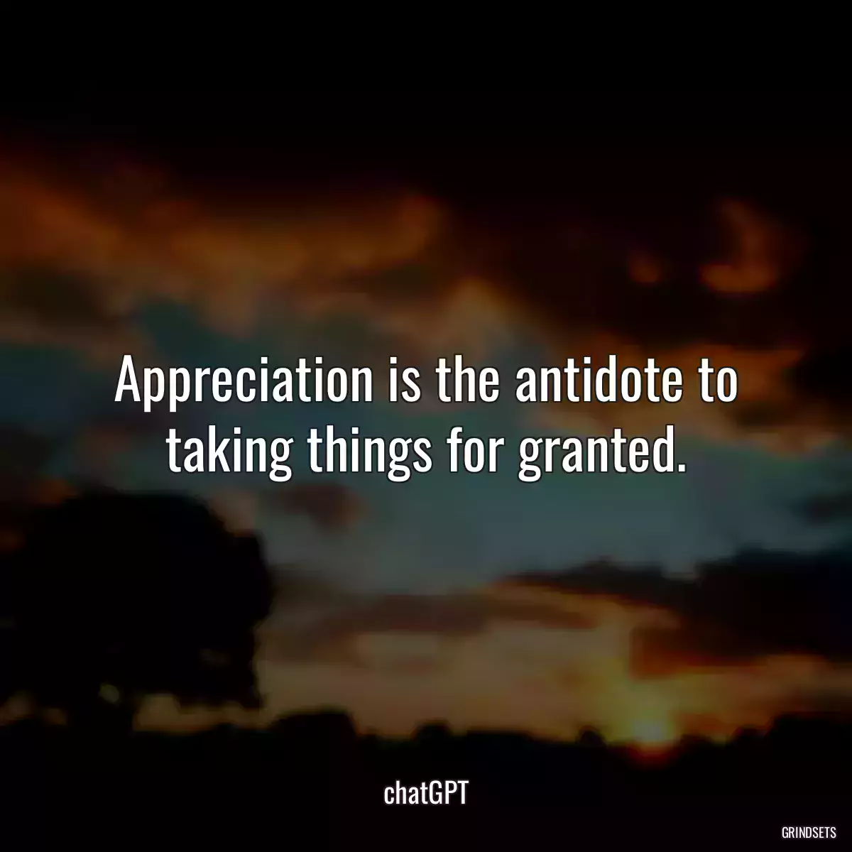 Appreciation is the antidote to taking things for granted.