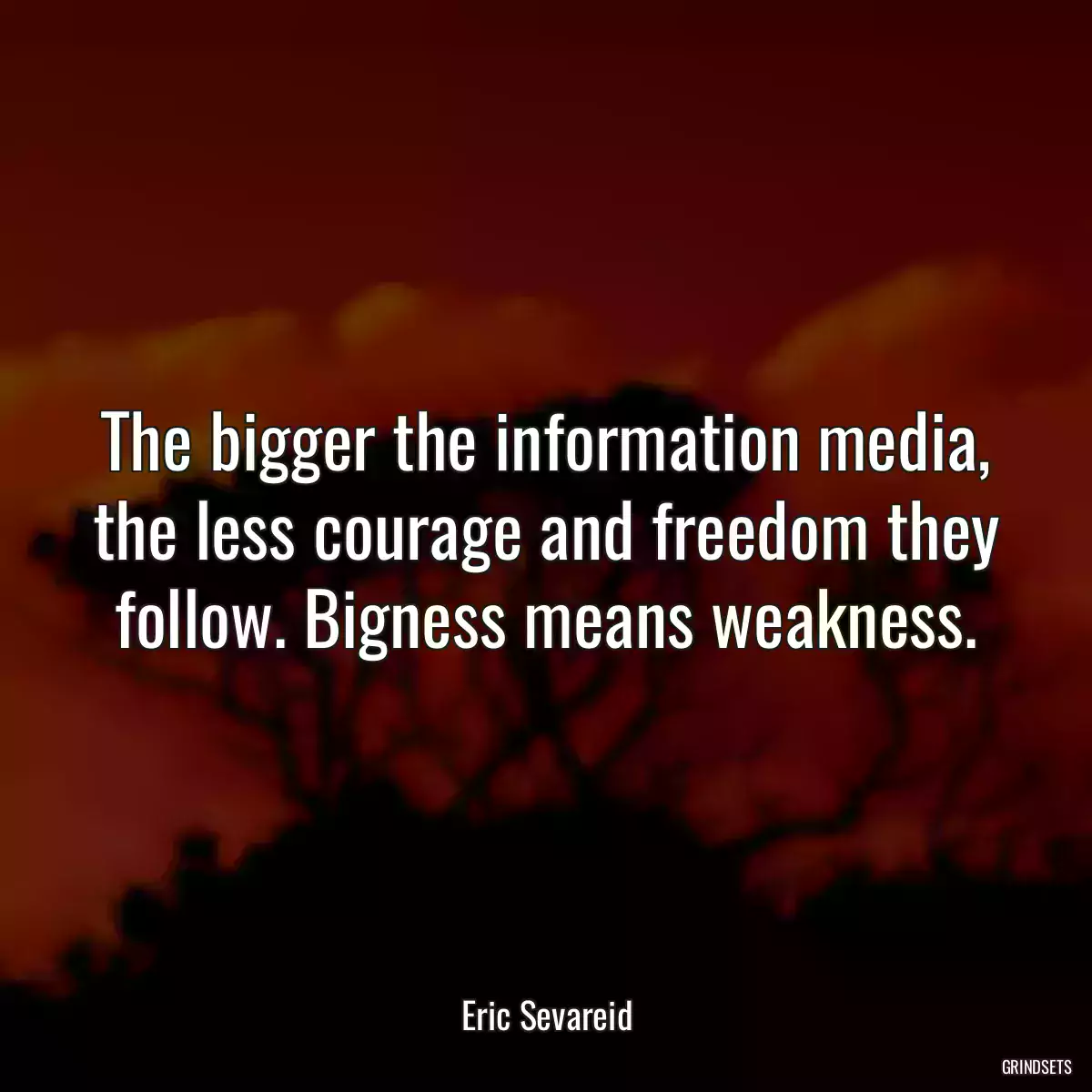 The bigger the information media, the less courage and freedom they follow. Bigness means weakness.