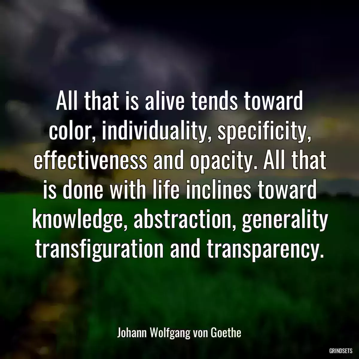 All that is alive tends toward color, individuality, specificity, effectiveness and opacity. All that is done with life inclines toward knowledge, abstraction, generality transfiguration and transparency.