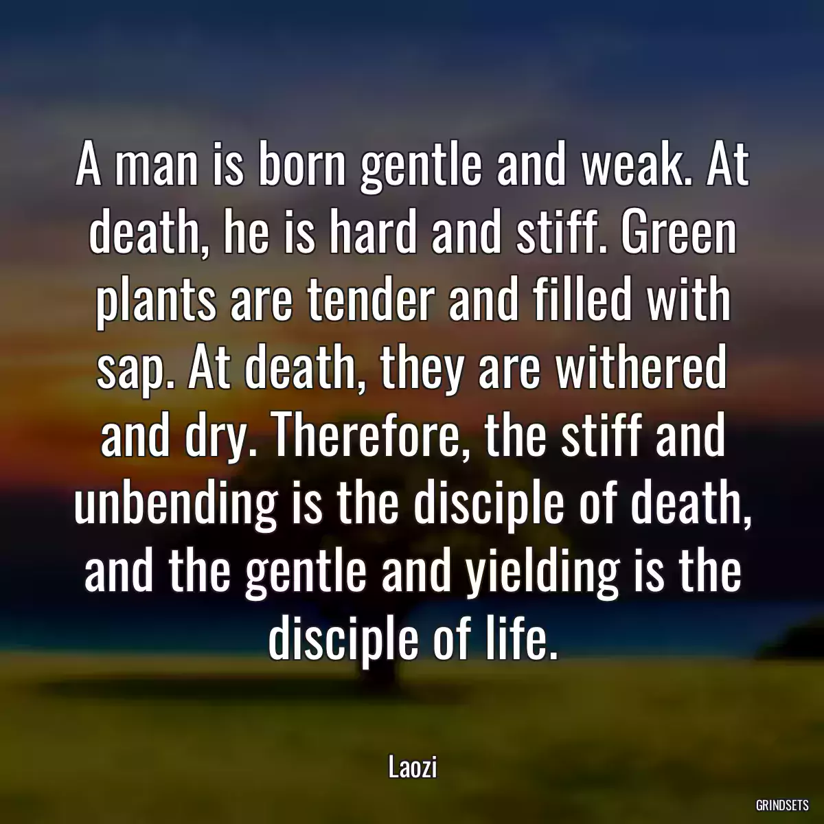A man is born gentle and weak. At death, he is hard and stiff. Green plants are tender and filled with sap. At death, they are withered and dry. Therefore, the stiff and unbending is the disciple of death, and the gentle and yielding is the disciple of life.