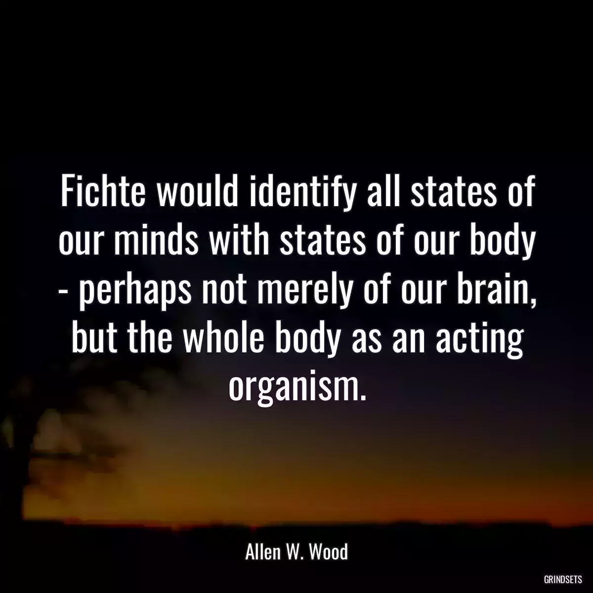 Fichte would identify all states of our minds with states of our body - perhaps not merely of our brain, but the whole body as an acting organism.