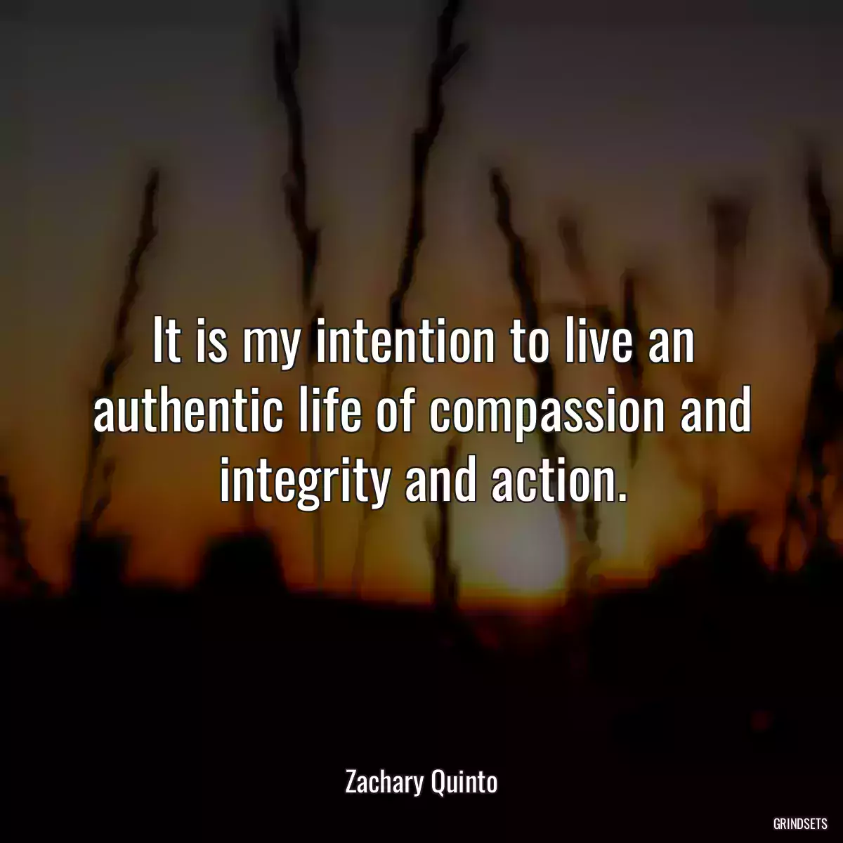 It is my intention to live an authentic life of compassion and integrity and action.