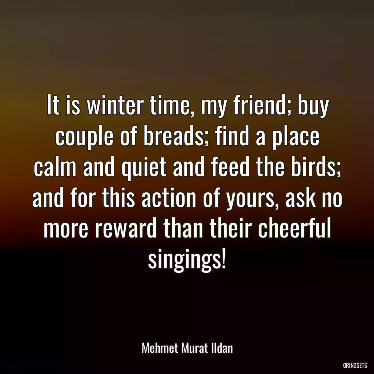 It is winter time, my friend; buy couple of breads; find a place calm and quiet and feed the birds; and for this action of yours, ask no more reward than their cheerful singings!