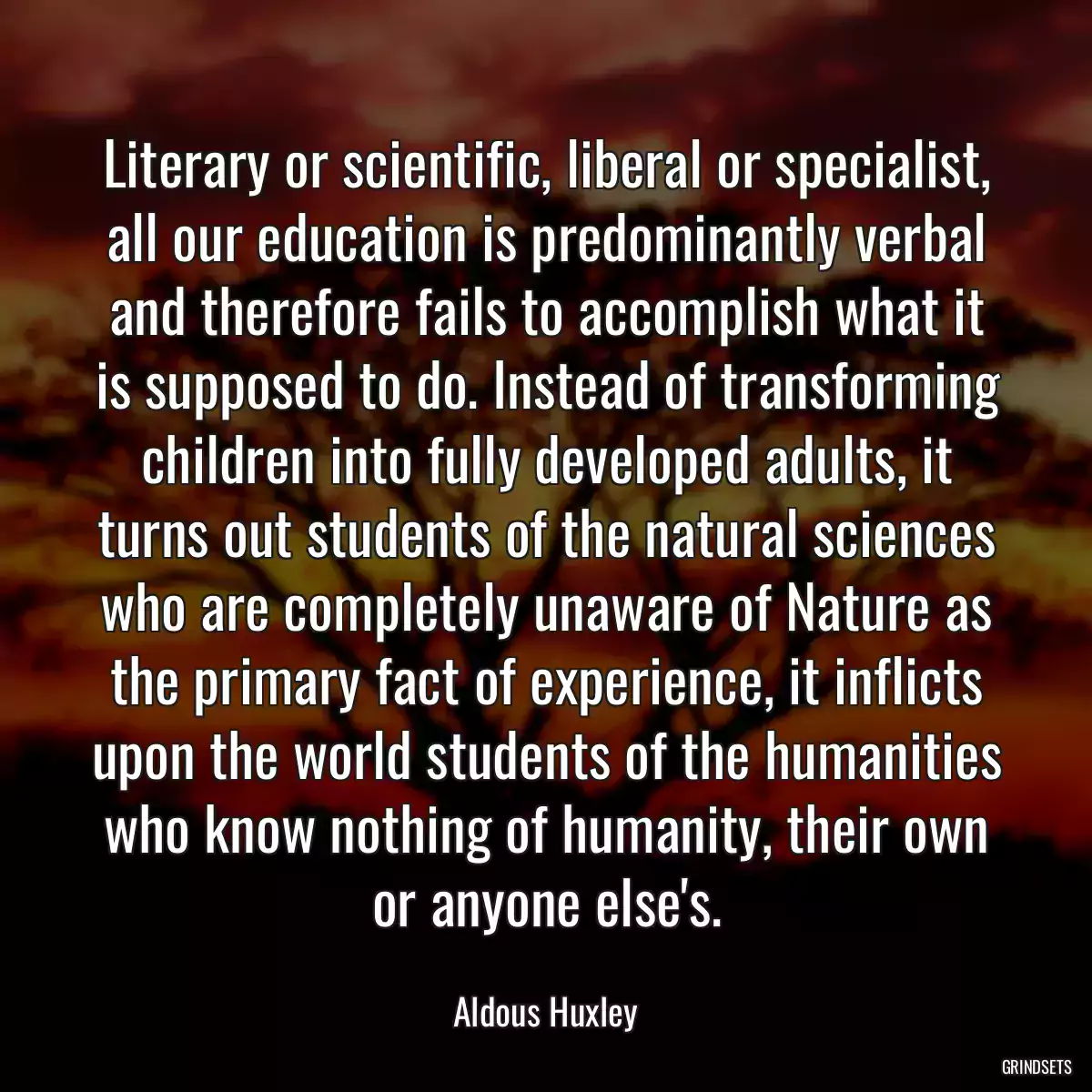 Literary or scientific, liberal or specialist, all our education is predominantly verbal and therefore fails to accomplish what it is supposed to do. Instead of transforming children into fully developed adults, it turns out students of the natural sciences who are completely unaware of Nature as the primary fact of experience, it inflicts upon the world students of the humanities who know nothing of humanity, their own or anyone else\'s.