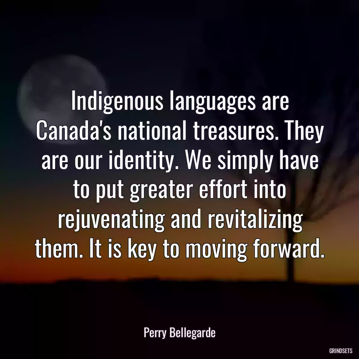 Indigenous languages are Canada\'s national treasures. They are our identity. We simply have to put greater effort into rejuvenating and revitalizing them. It is key to moving forward.