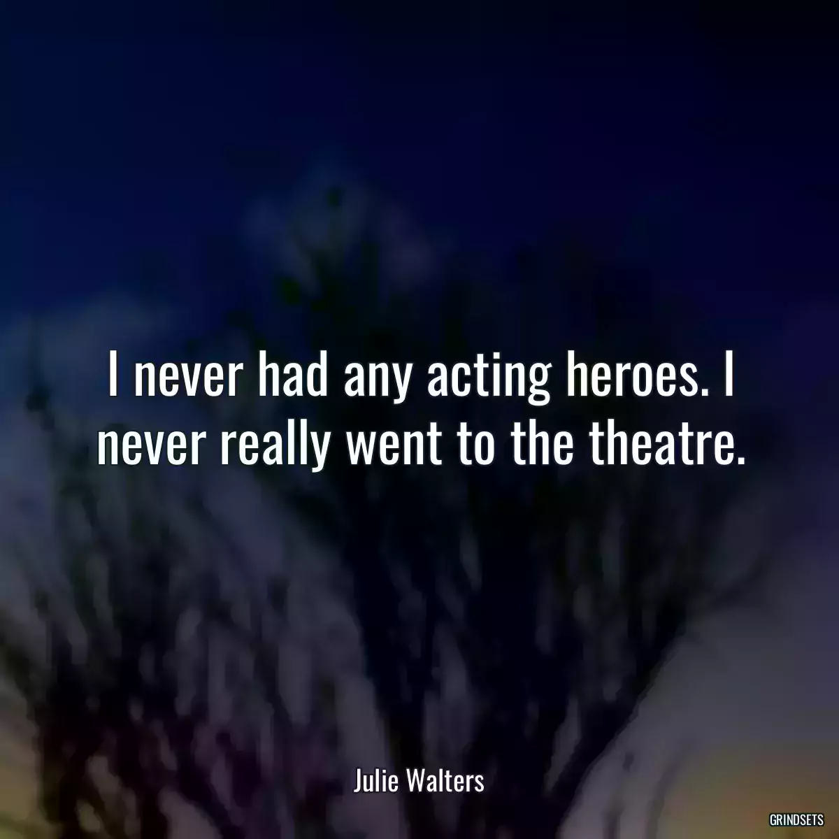 I never had any acting heroes. I never really went to the theatre.