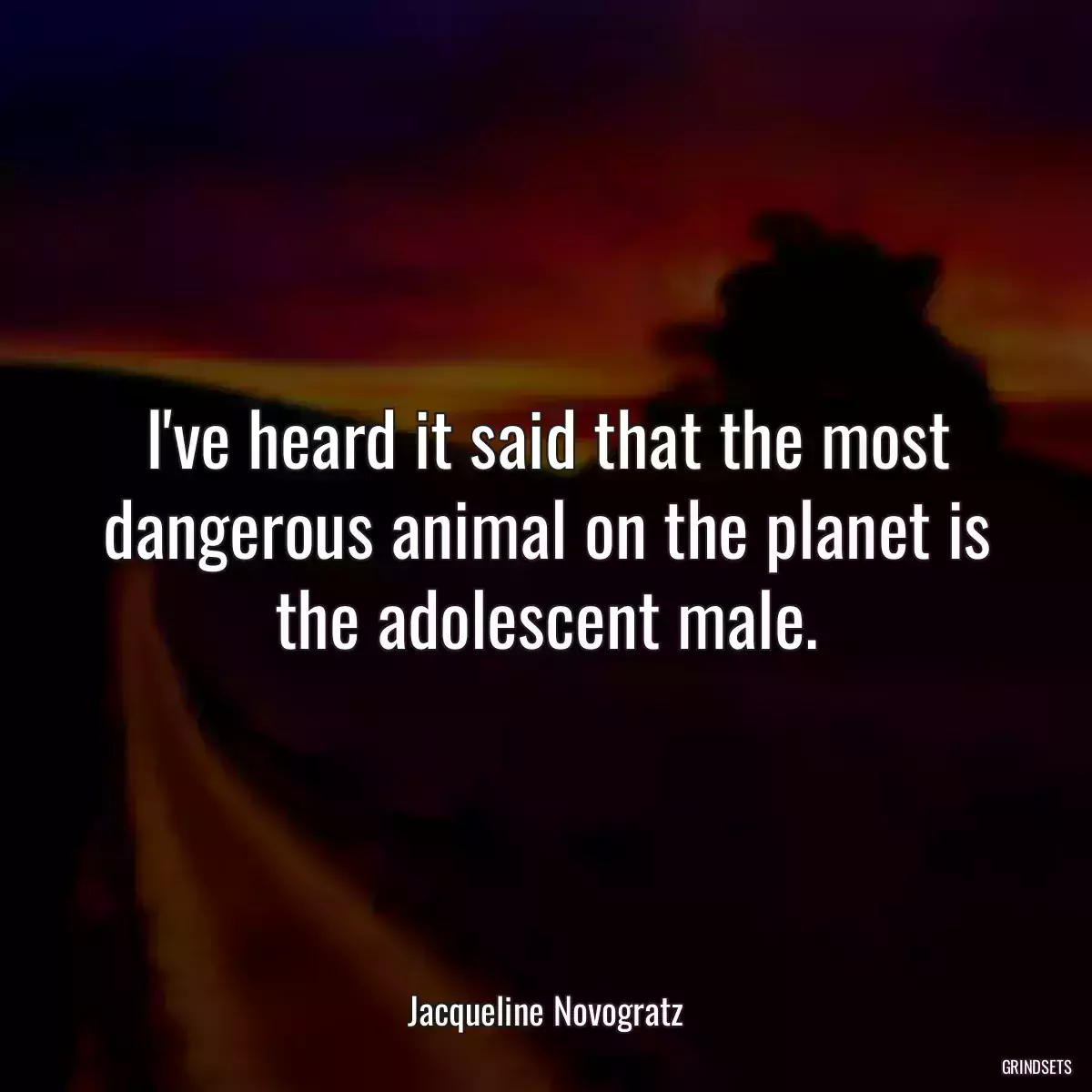 I\'ve heard it said that the most dangerous animal on the planet is the adolescent male.