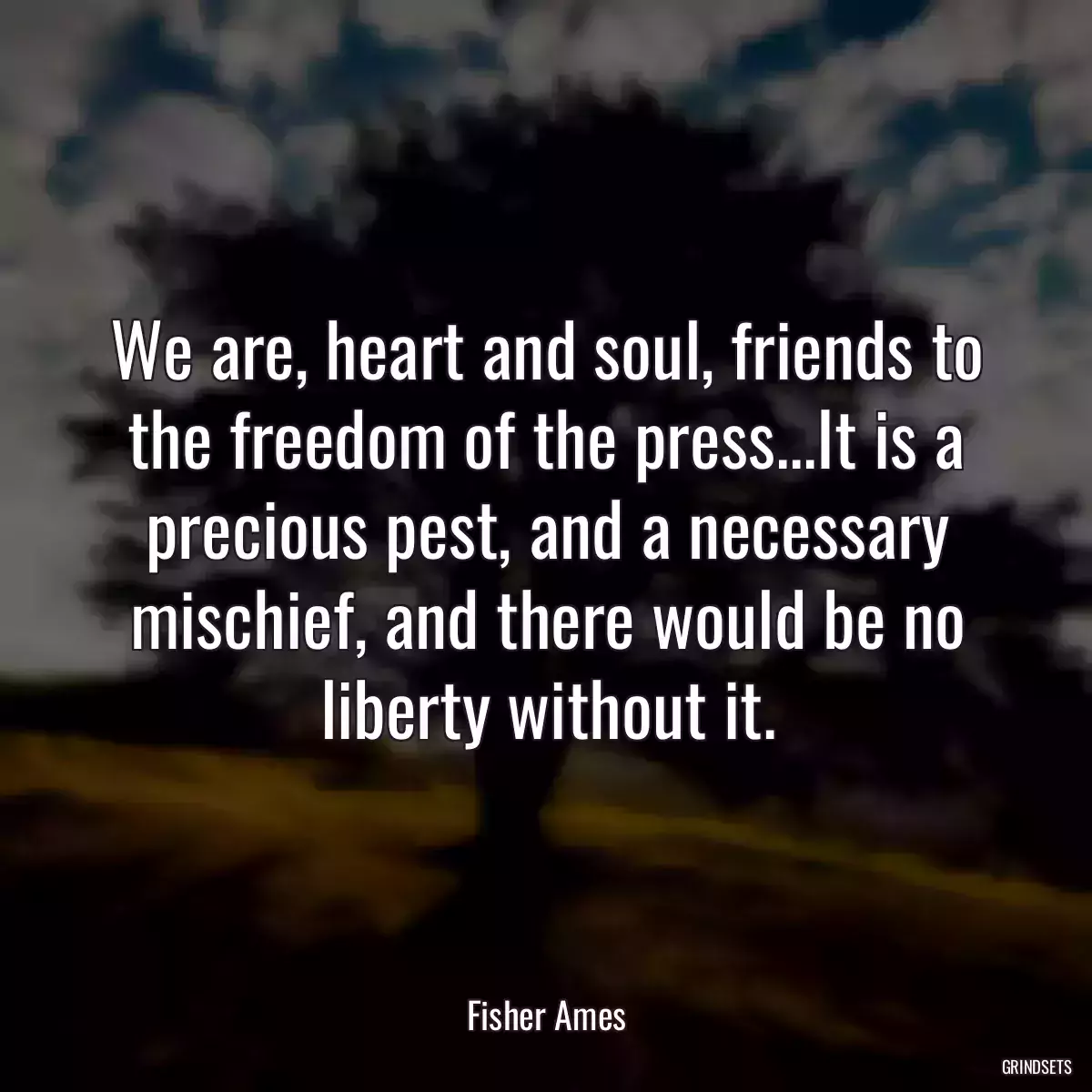 We are, heart and soul, friends to the freedom of the press...It is a precious pest, and a necessary mischief, and there would be no liberty without it.